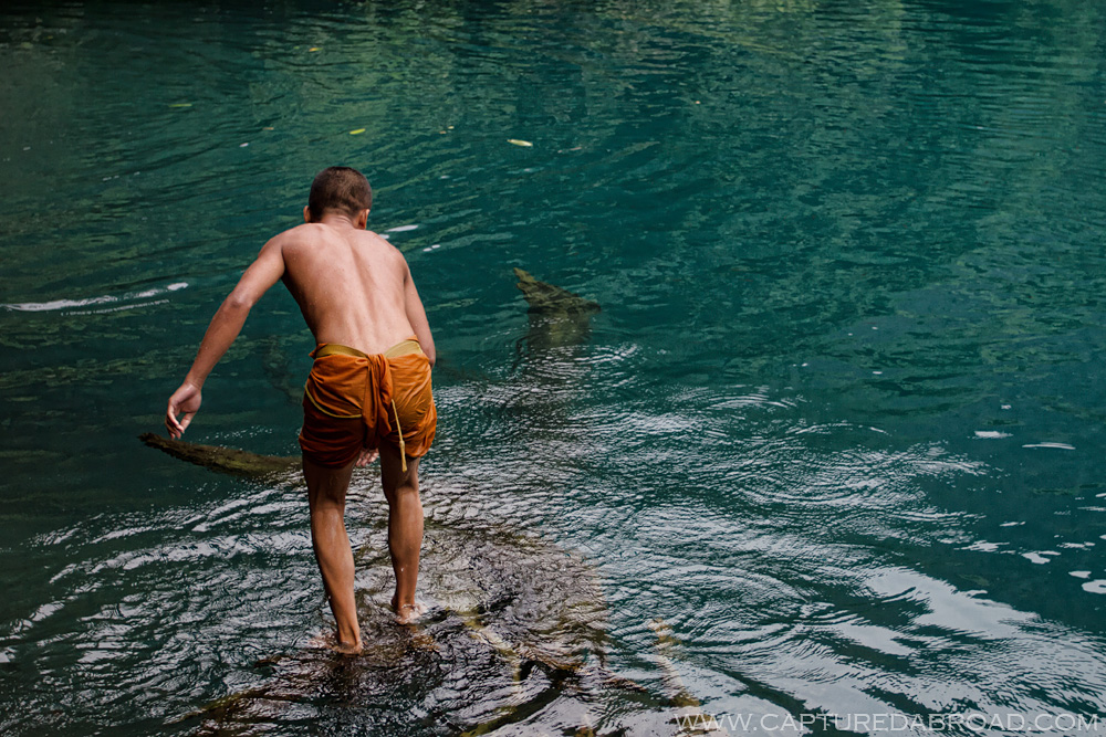 Monk walks along a submerged tree in the mystical Kongleng Lake