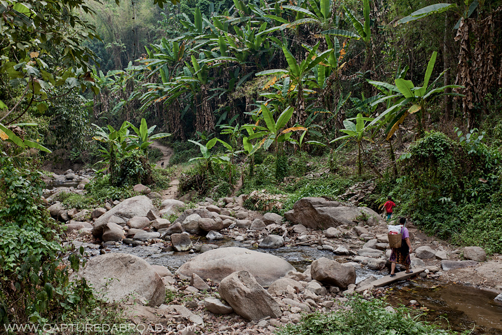 Jungle trekking outside Chiang Mai