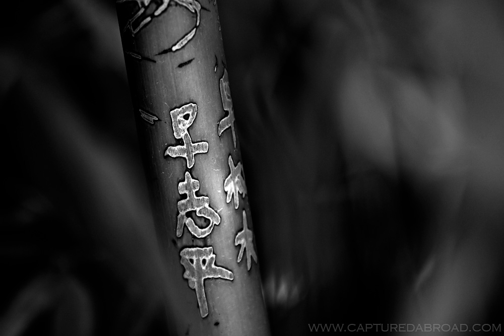 Bamboo writting