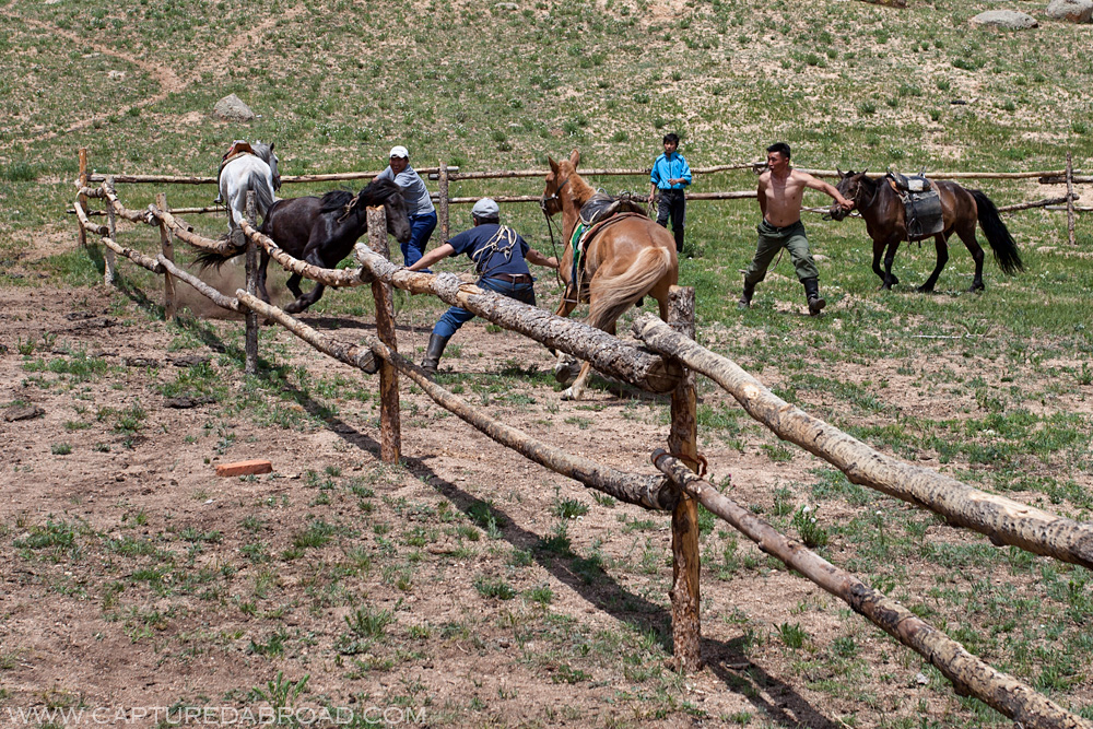 Terelj National Park Mongolia, horse riding